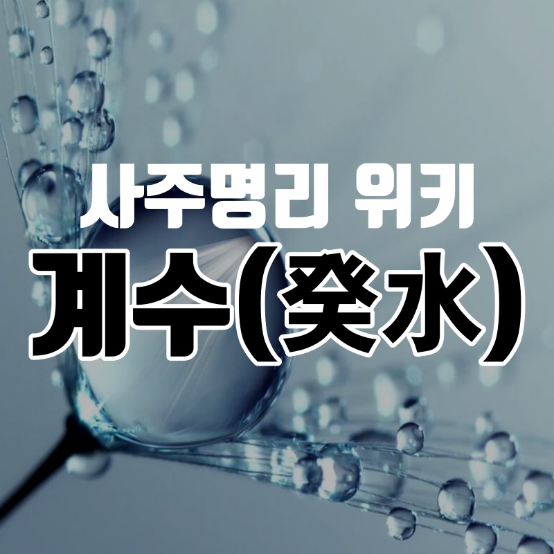 계수w